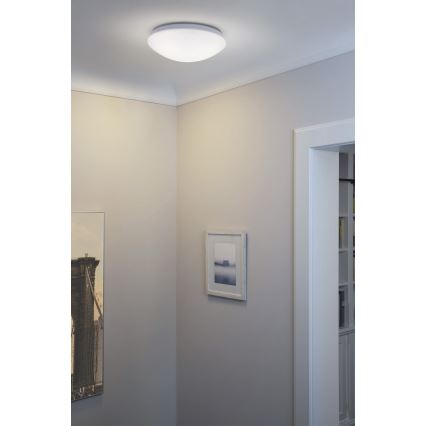Osram - LED Stropní svítidlo ESSENTIAL LED/13W/230V 6500K pr. 25 cm