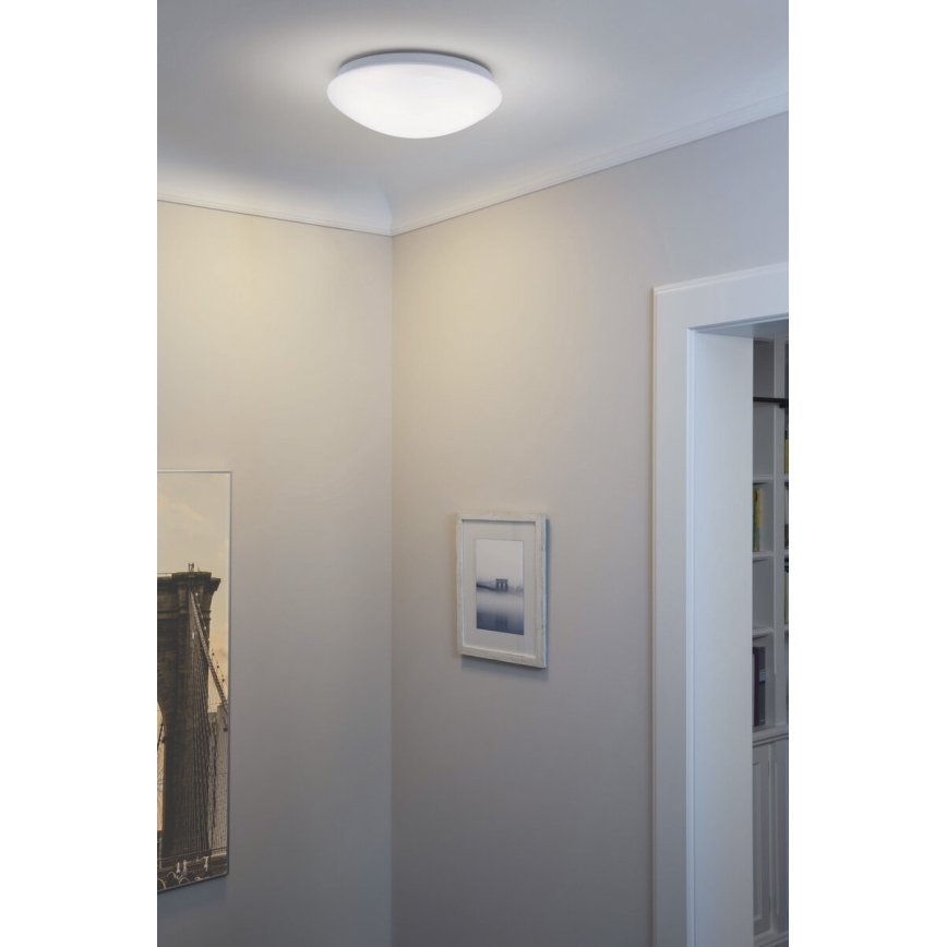 Osram - LED Stropní svítidlo ESSENTIAL LED/13W/230V 6500K pr. 25 cm