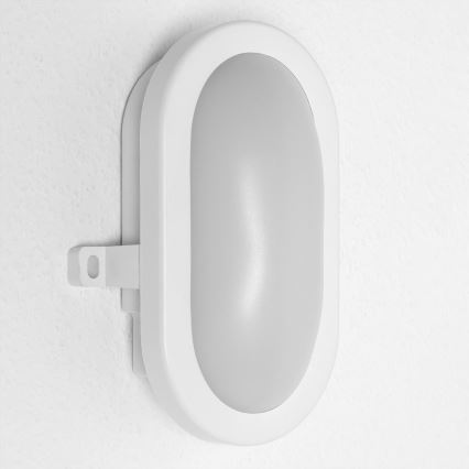 Osram - LED Venkovní nástěnné svítidlo BULKHEAD LED/6W/230V IP54 bílá