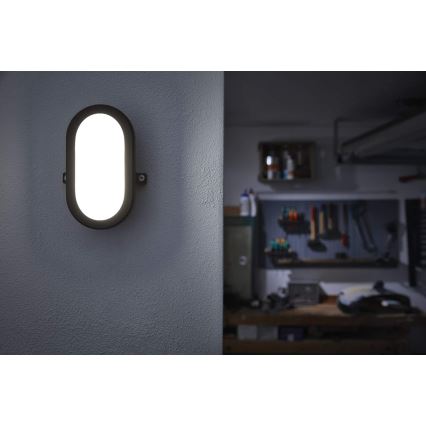 Osram - LED Venkovní nástěnné svítidlo BULKHEAD LED/6W/230V IP54 černá