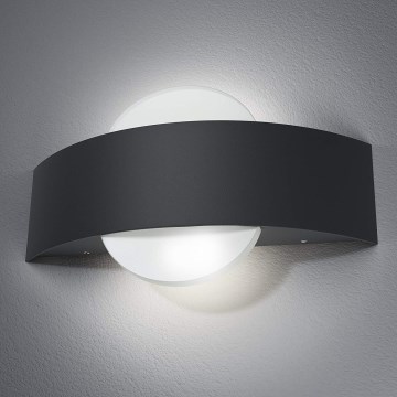 Osram - LED Venkovní nástěnné svítidlo ENDURA LED/11W/230V IP44 černá IP44 Osram - LED Venkovní nástěnné svítidlo ENDURA LED/11W/230V IP44 černá IP44