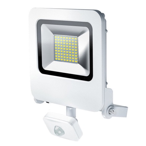 Osram - LED Venkovní reflektor se senzorem ENDURA LED/50W/240V IP44 bílý IP44