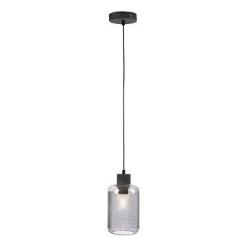 Paul Neuhaus 2006-25 - Lustr na lanku BOLETUS 1xE27/10W/230V pr. 14 cm šedá