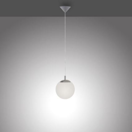 Paul Neuhaus 2072-55 - Lustr na lanku BOLO 1xE27/60W/230V pr. 20 cm