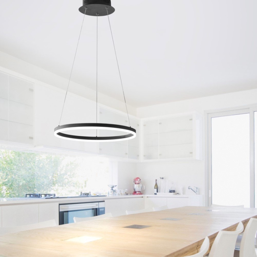 Paul Neuhaus 2381-13 - LED Stmívatelný lustr na lanku TITUS LED/28W/230V