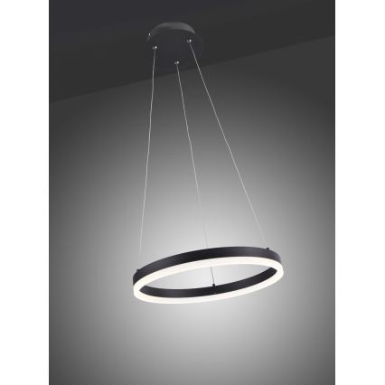 Paul Neuhaus 2381-13 - LED Stmívatelný lustr na lanku TITUS LED/28W/230V