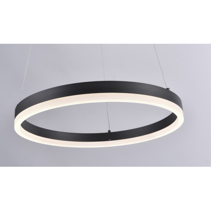 Paul Neuhaus 2381-13 - LED Stmívatelný lustr na lanku TITUS LED/28W/230V