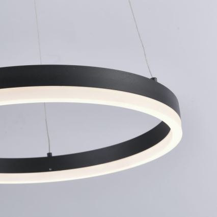 Paul Neuhaus 2381-13 - LED Stmívatelný lustr na lanku TITUS LED/28W/230V