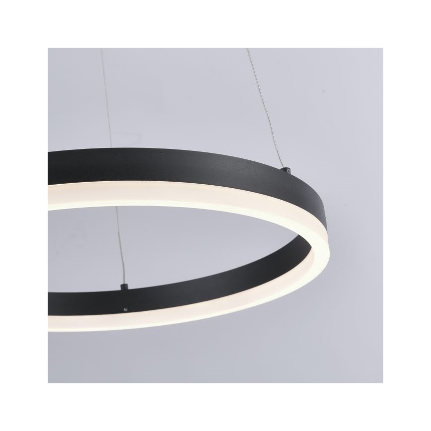 Paul Neuhaus 2381-13 - LED Stmívatelný lustr na lanku TITUS LED/28W/230V