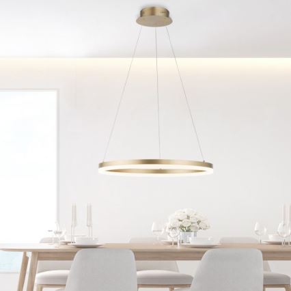 Paul Neuhaus 2382-60 - LED Stmívatelný lustr na lanku TITUS LED/38,5W/230V