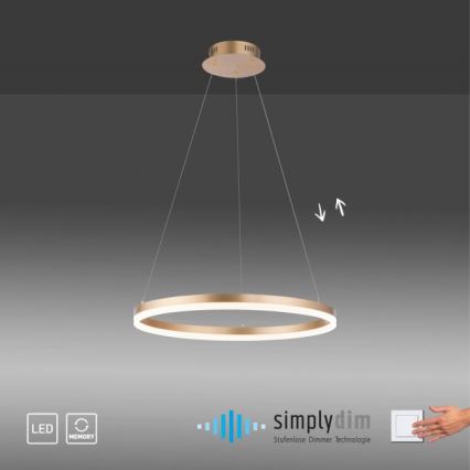 Paul Neuhaus 2382-60 - LED Stmívatelný lustr na lanku TITUS LED/38,5W/230V