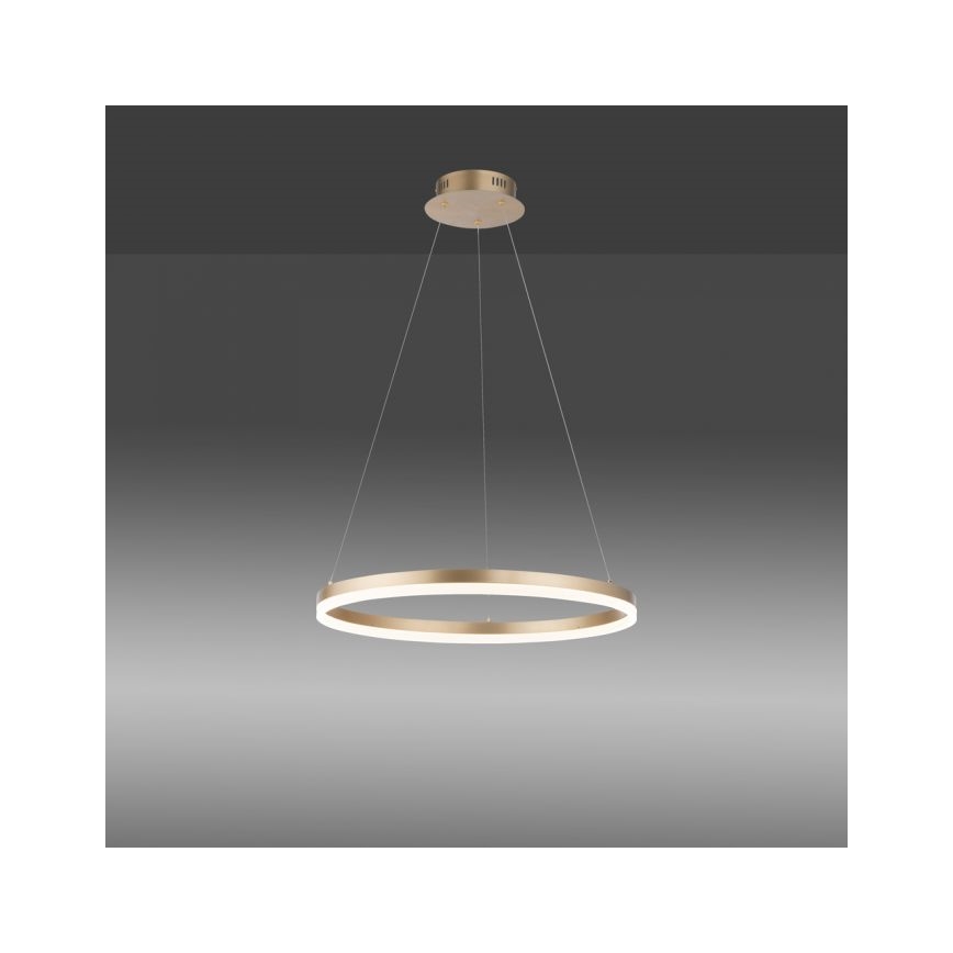 Paul Neuhaus 2382-60 - LED Stmívatelný lustr na lanku TITUS LED/38,5W/230V
