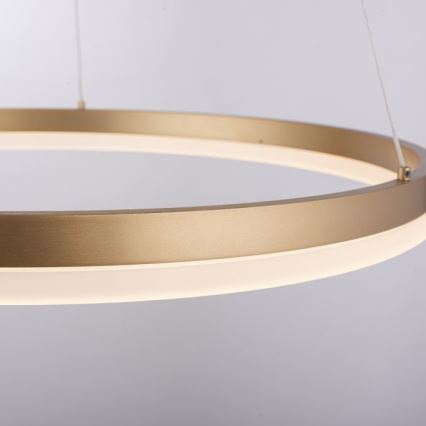 Paul Neuhaus 2382-60 - LED Stmívatelný lustr na lanku TITUS LED/38,5W/230V