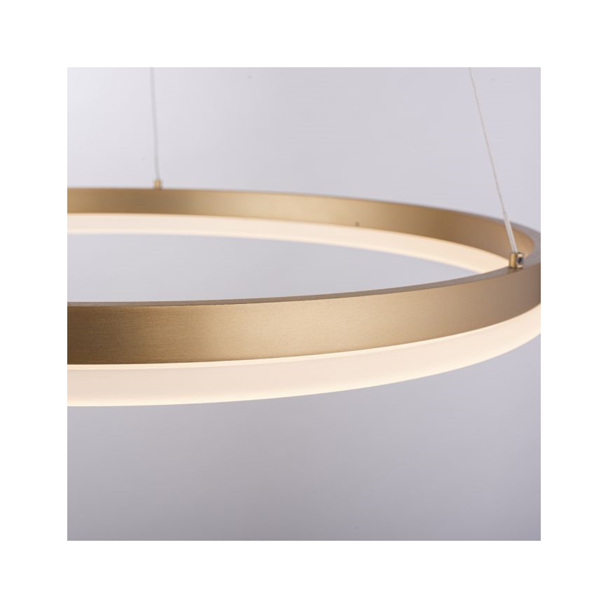Paul Neuhaus 2382-60 - LED Stmívatelný lustr na lanku TITUS LED/38,5W/230V