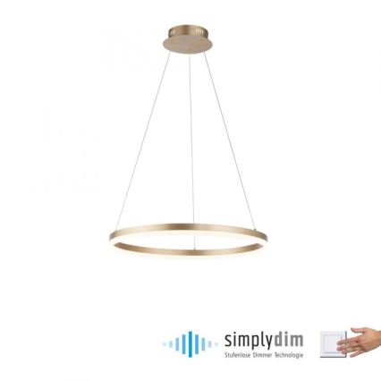 Paul Neuhaus 2382-60 - LED Stmívatelný lustr na lanku TITUS LED/38,5W/230V