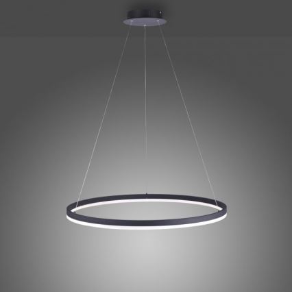 Paul Neuhaus 2383-13 - LED Stmívatelný lustr na lanku TITUS LED/50W/230V