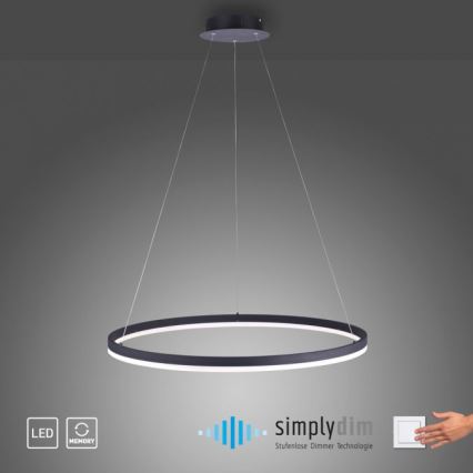 Paul Neuhaus 2383-13 - LED Stmívatelný lustr na lanku TITUS LED/50W/230V