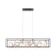 Paul Neuhaus 2416-18 - LED Stmívatelný lustr na lanku SELINA 4xLED/10,2W/230V