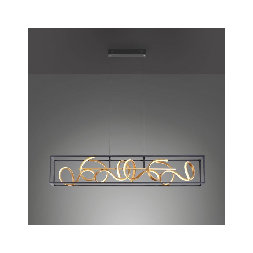 Paul Neuhaus 2416-18 - LED Stmívatelný lustr na lanku SELINA 4xLED/10,2W/230V