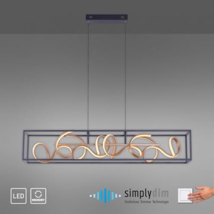 Paul Neuhaus 2416-18 - LED Stmívatelný lustr na lanku SELINA 4xLED/10,2W/230V