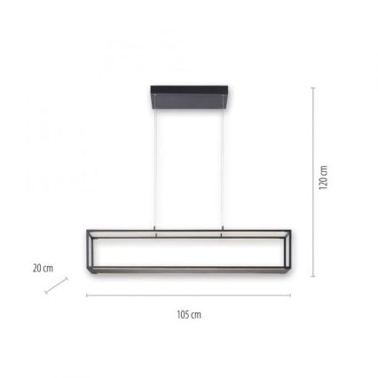 Paul Neuhaus 2441-18 - LED Stmívatelný lustr na lanku CONTURA 4xLED/8W/230V