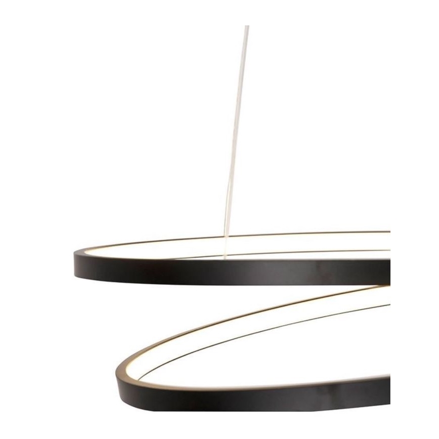 Paul Neuhaus 2472-18 - LED Stmívatelný lustr na lanku ROMAN LED/30W/230V černá