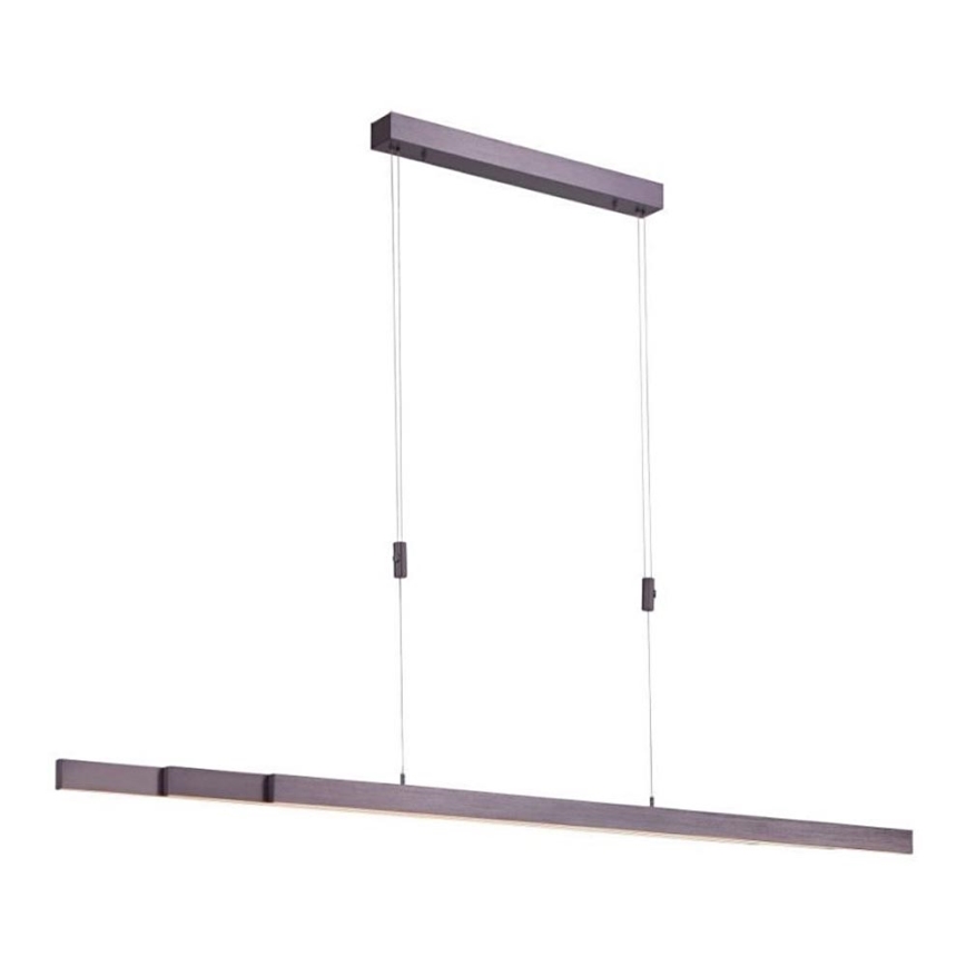 Paul Neuhaus 2568-24 - LED Stmívatelný lustr na lanku ADRIANA LED/14W/230V 2700-5000K