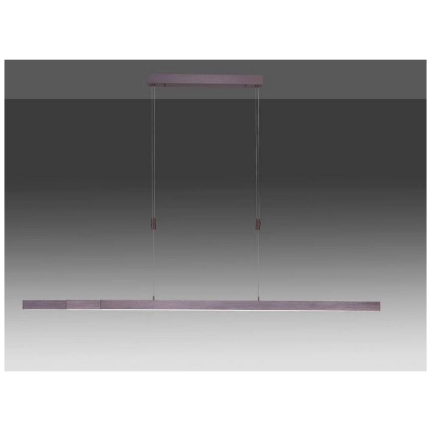Paul Neuhaus 2568-24 - LED Stmívatelný lustr na lanku ADRIANA LED/14W/230V 2700-5000K