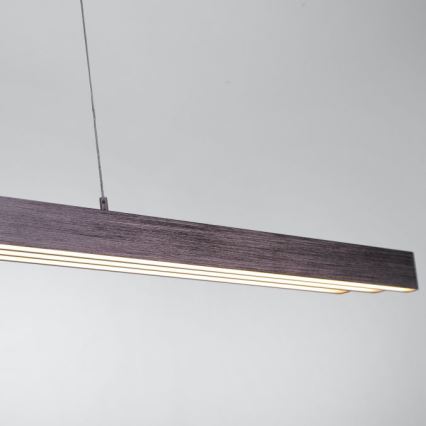 Paul Neuhaus 2568-24 - LED Stmívatelný lustr na lanku ADRIANA LED/14W/230V 2700-5000K