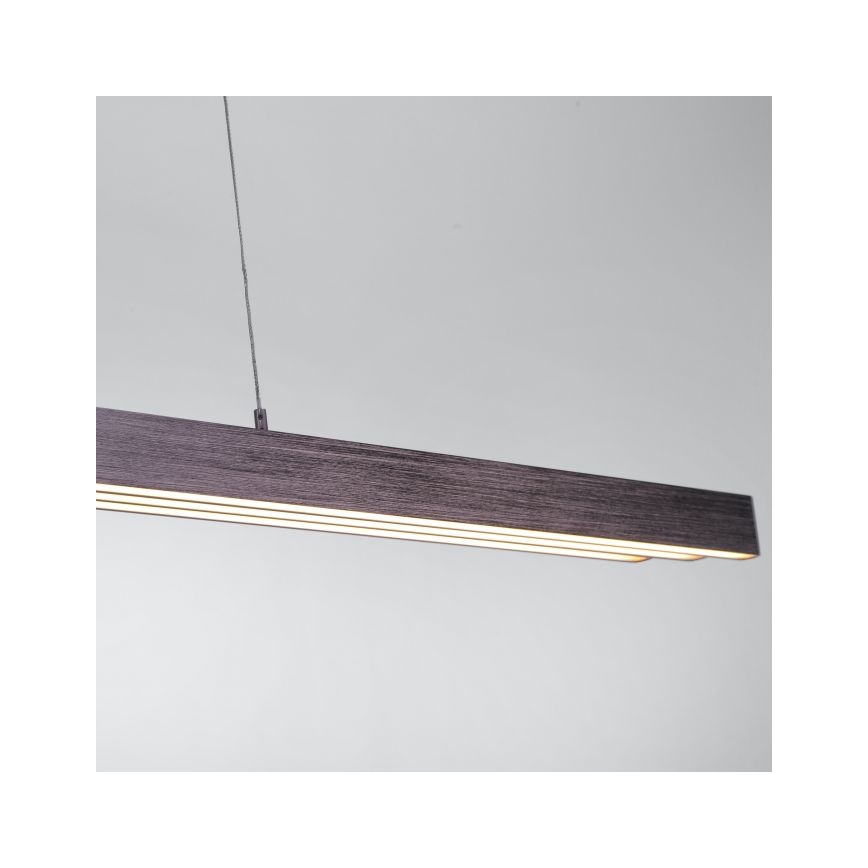 Paul Neuhaus 2568-24 - LED Stmívatelný lustr na lanku ADRIANA LED/14W/230V 2700-5000K