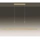 Paul Neuhaus 2568-60 - LED Stmívatelný lustr na lanku ADRIANA LED/14W/230V  2700-5000K mosaz