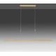 Paul Neuhaus 2568-60 - LED Stmívatelný lustr na lanku ADRIANA LED/14W/230V  2700-5000K mosaz