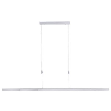 Paul Neuhaus 2568-95 - LED Stmívatelný lustr na lanku ADRIANA LED/14W/230V 2700-5000K matný chrom