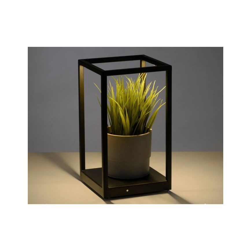 Paul Neuhaus 4401-18 - LED Stmívatelná stolní lampa CONTURA 2xLED/2,2W/230V