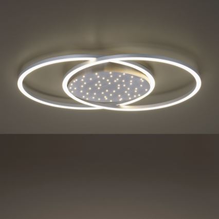 Paul Neuhaus 6025-55 - LED Stmívatelné stropní svítidlo YUKI LED/48W/230V + dálkové ovládání