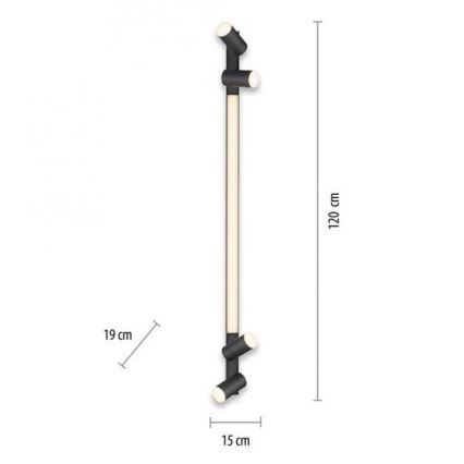 Paul Neuhaus 6121-13 - LED Stmívatelné bodové svítidlo PURE 4xLED/4W/230V + LED/9W + dálkové ovládání