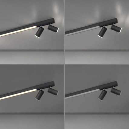 Paul Neuhaus 6121-13 - LED Stmívatelné bodové svítidlo PURE 4xLED/4W/230V + LED/9W 2700-5000K + dálkové ovládání