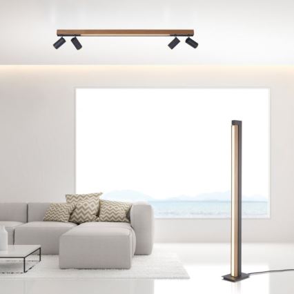 Paul Neuhaus 6121-79 - LED Stmívatelné bodové svítidlo PURE 4xLED/4W/230V + LED/9W 2700-5000K + dálkové ovládání