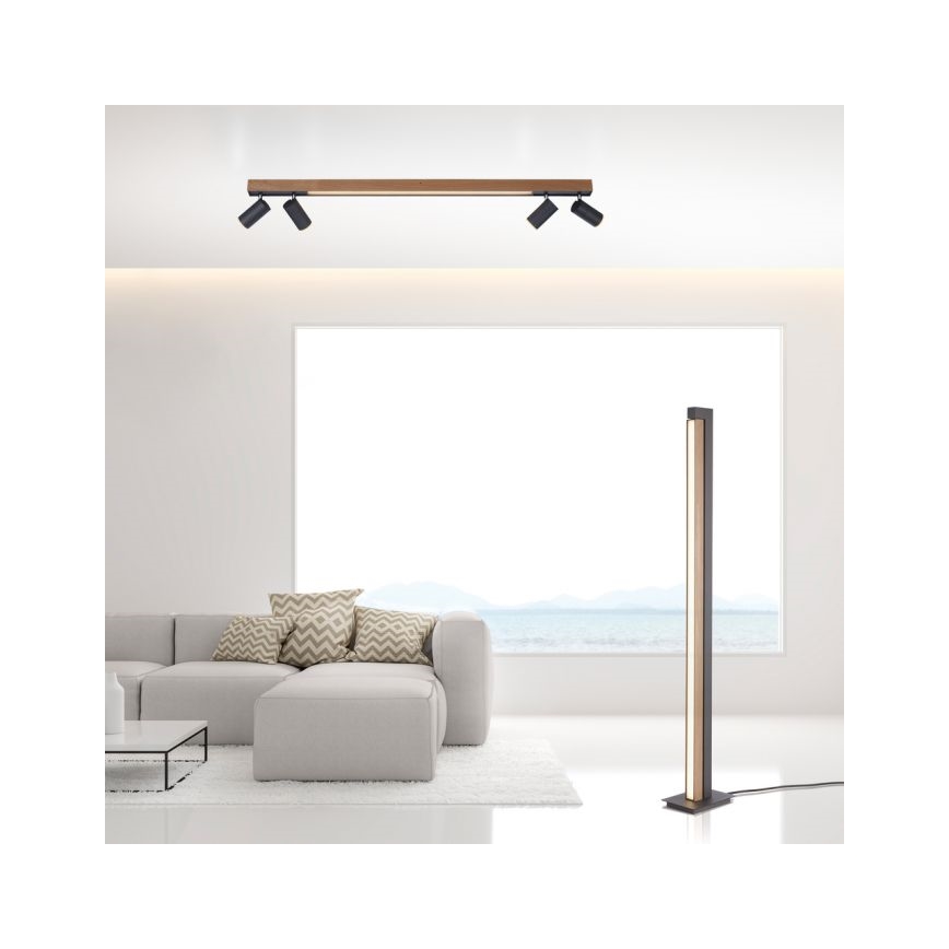 Paul Neuhaus 6121-79 - LED Stmívatelné bodové svítidlo PURE 4xLED/4W/230V + LED/9W 2700-5000K + dálkové ovládání