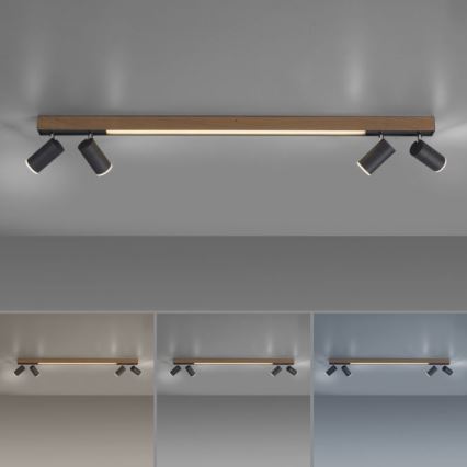 Paul Neuhaus 6121-79 - LED Stmívatelné bodové svítidlo PURE 4xLED/4W/230V + LED/9W 2700-5000K + dálkové ovládání
