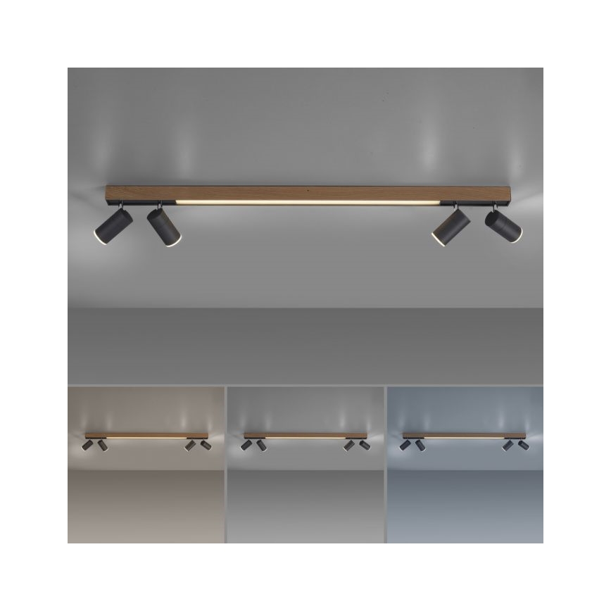 Paul Neuhaus 6121-79 - LED Stmívatelné bodové svítidlo PURE 4xLED/4W/230V + LED/9W 2700-5000K + dálkové ovládání