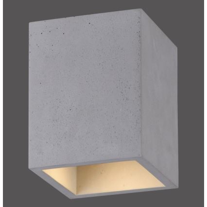 Paul Neuhaus 6161-22 - Bodové svítidlo ETON 1xGU10/10W/230V beton