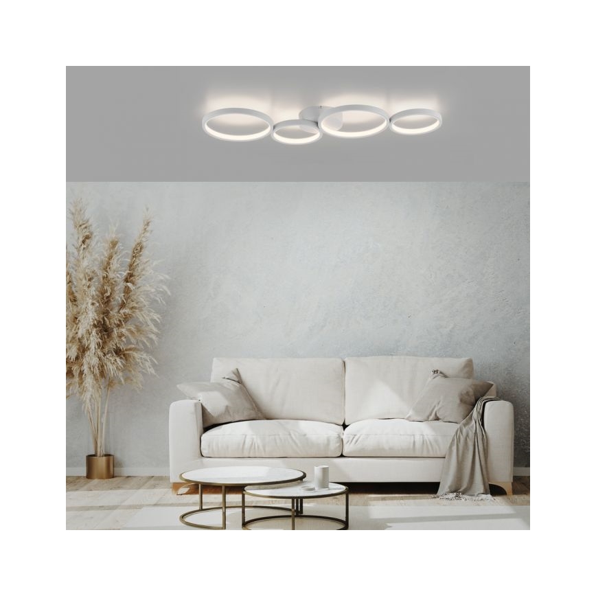 Paul Neuhaus 6183-16 - LED Stmívatelné stropní svítidlo KIRINGE LED/26W/230V