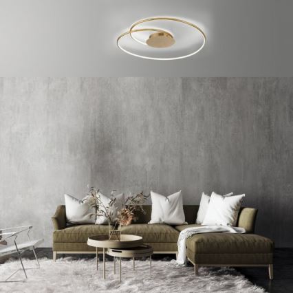 Paul Neuhaus 6189-12 - LED Stmívatelné stropní svítidlo NASTRO LED/26W/230V