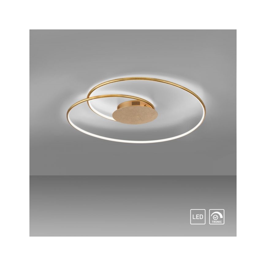 Paul Neuhaus 6189-12 - LED Stmívatelné stropní svítidlo NASTRO LED/26W/230V