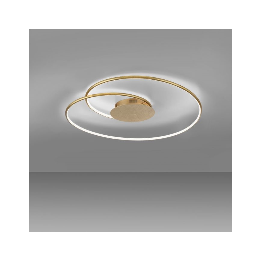 Paul Neuhaus 6189-12 - LED Stmívatelné stropní svítidlo NASTRO LED/26W/230V