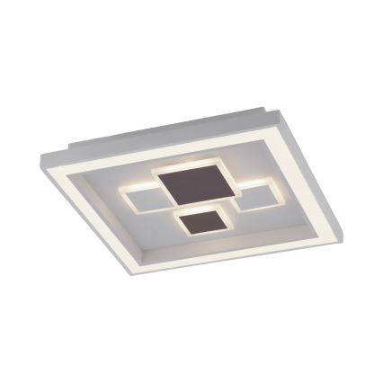 Paul Neuhaus 6283-16 - LED Stmívatelné stropní svítidlo ELIZA LED/30W/230V + LED/18,5W