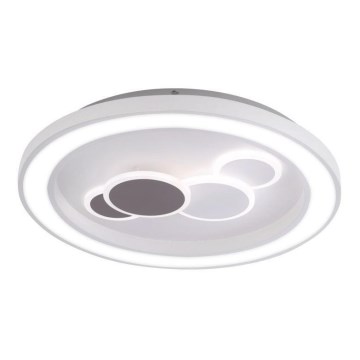 Paul Neuhaus 6284-16 - LED Stropní svítidlo ELIZA LED/55,5W/230V pr. 60 cm
