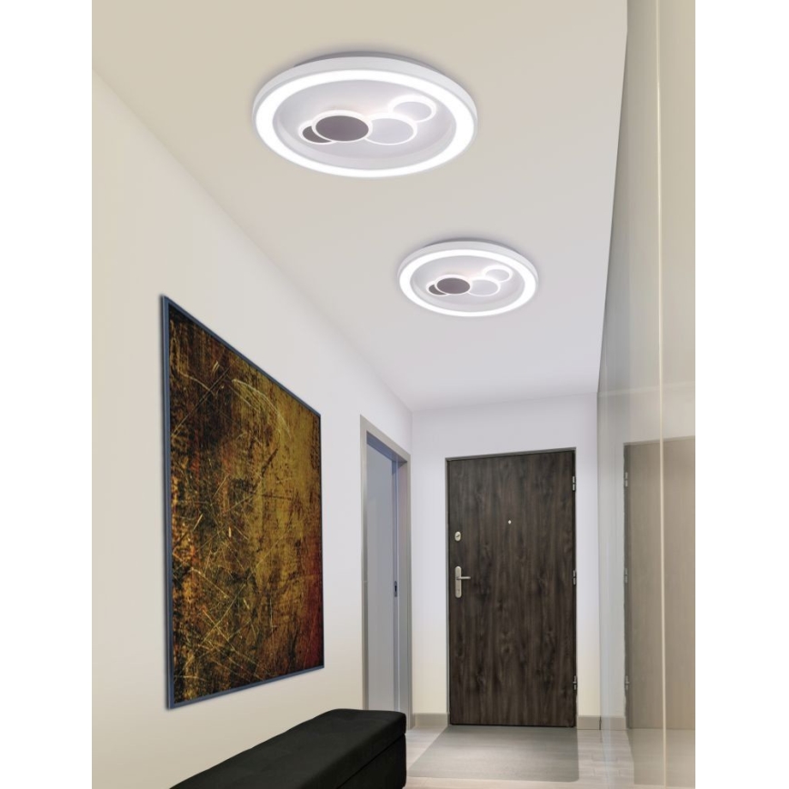 Paul Neuhaus 6284-16 - LED Stropní svítidlo ELIZA LED/55,5W/230V pr. 60 cm