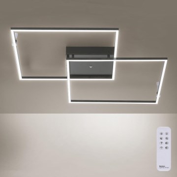 Paul Neuhaus 6438-18 - LED Stmívatelný přisazený lustr INIGO s dálkovým ovladačem 2xLED/21W/230V